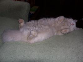 Неудобное удобно 