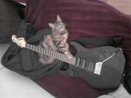 Неудобное удобно 