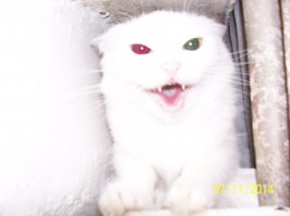 Нападение на оператора