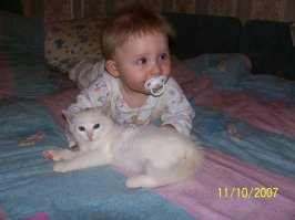 28 детенышей животных, которые напомнят вам, что мир прекрасен!