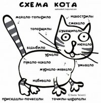 Кошачий пост