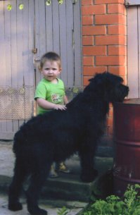 12 причин, почему каждый ребенок должен расти с собакой