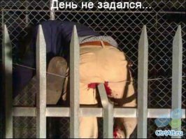 Это был не их день! 