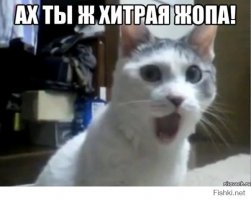 Вор притворился мёртвым 