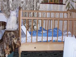 Друг, который всегда попадает в кадр