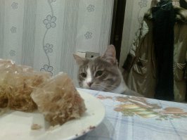 Пойманы на месте преступления