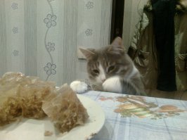 Пойманы на месте преступления