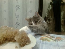 Пойманы на месте преступления