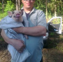 Улыбки, перед которыми невозможно устоять