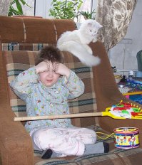 Мальчики и их кошки 