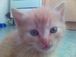 Почти как мой 5 лет назад ...