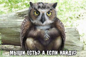 Фантастические гибриды животных