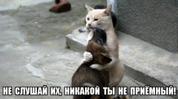 Забота о друге