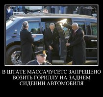 В США запреты тоже не всегда соблюдаются: