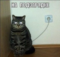 Подборка  демотиваторов
