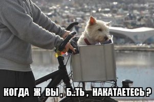 Полностью согласен!