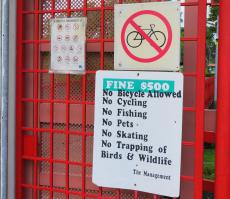 Вот эта фотка даже попоказательнее будет.