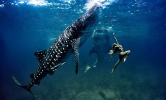 Если это не фейк, то это просто АХУ*ТЬ!