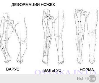 Стройные ножки американок