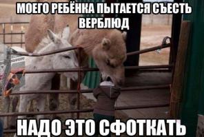 ПРИНЦИП инстАграмма