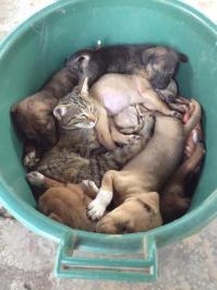 Зашхерился...