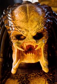 КОТЭ в шоке!