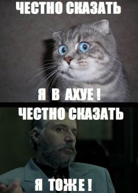 15 первых экземпляров вещей, которыми мы пользуемся каждый день