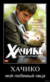 Запоминающиеся цитаты из фильма "Хатико: Самый верный друг"