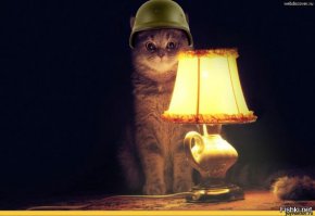 21 факт о менструациях, которого вы не знали