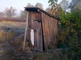 Что можно сделать из дерева?