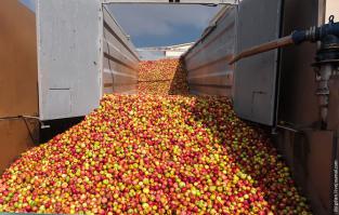  Борьба с опоздавшими