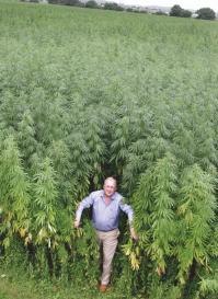 волшебнее некуда