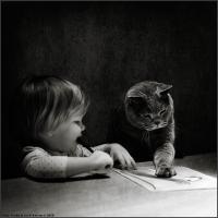 Трогательная дружба маленькой девочки и котиков