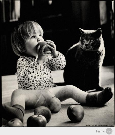 Трогательная дружба маленькой девочки и котиков