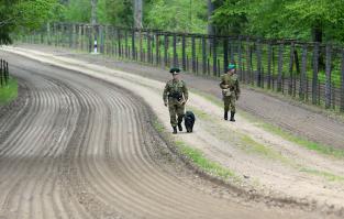 Дозор по системе