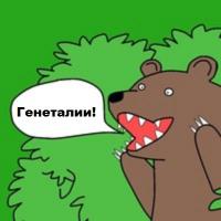Отредактируйте мою фотку в редакторе 