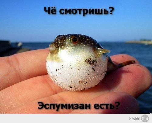 Солянка для Майдана. Часть 21