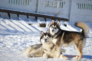 А вот мои 2 из 5