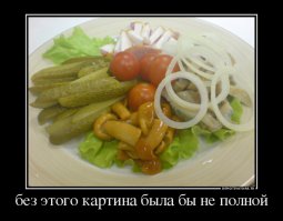 Этикетки с винных бутылок из СССР