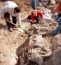 Коллекция самых необычных DMC DeLorean