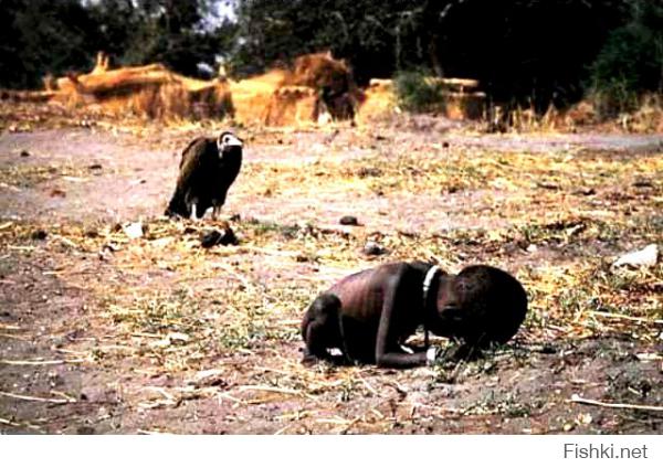 Одна из самых сильных фотографий ХХ века. Стервятник дожидается смерти девочки, во время массового голода в Судане.
Автор фотографии получил за нее "Пулитцера" и покончил с собой через три месяца.