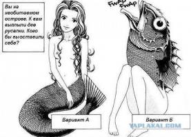 Фишкина солянка за 18.06.2014