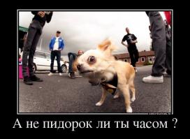 История про доктора Пита