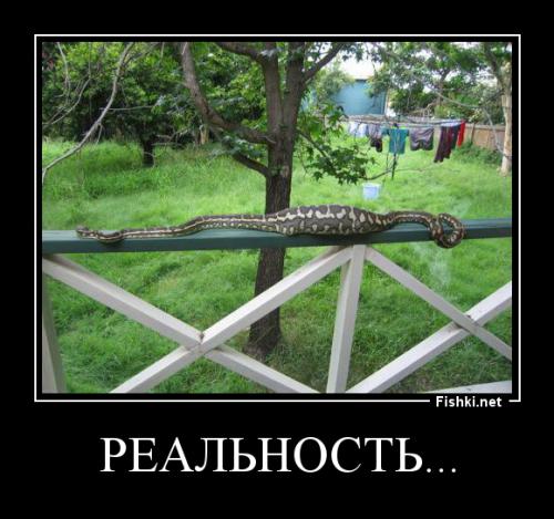 Рожденный ползать, летать не может! (с)