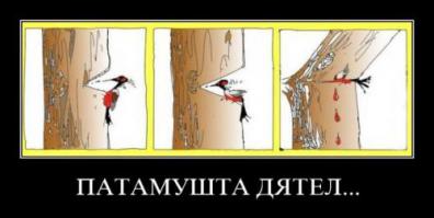 Я согласен с тобой, если ты "водятел".