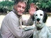 Белый Бим чёрное ухо.