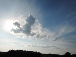 Простились с лошадкой.