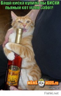 Коты и валерьянка 