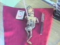 Это пилот этого НЛО: Кыштымский карлик.