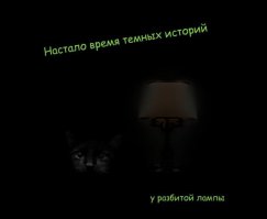 Кот-зомби вернулся домой через 5 дней после собственных похорон  